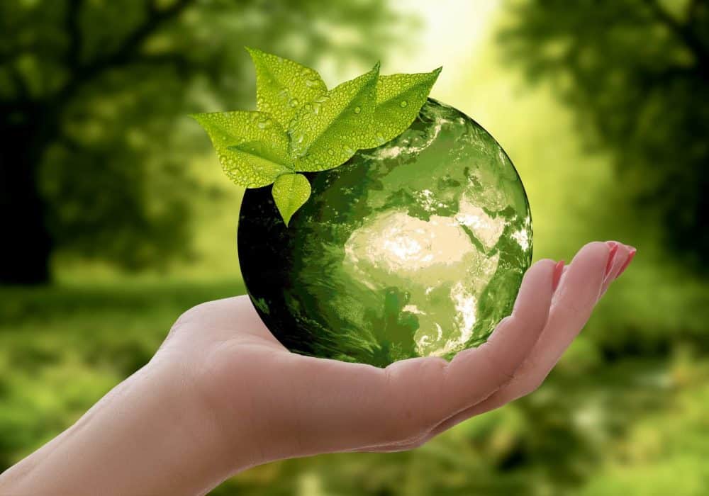 écologique